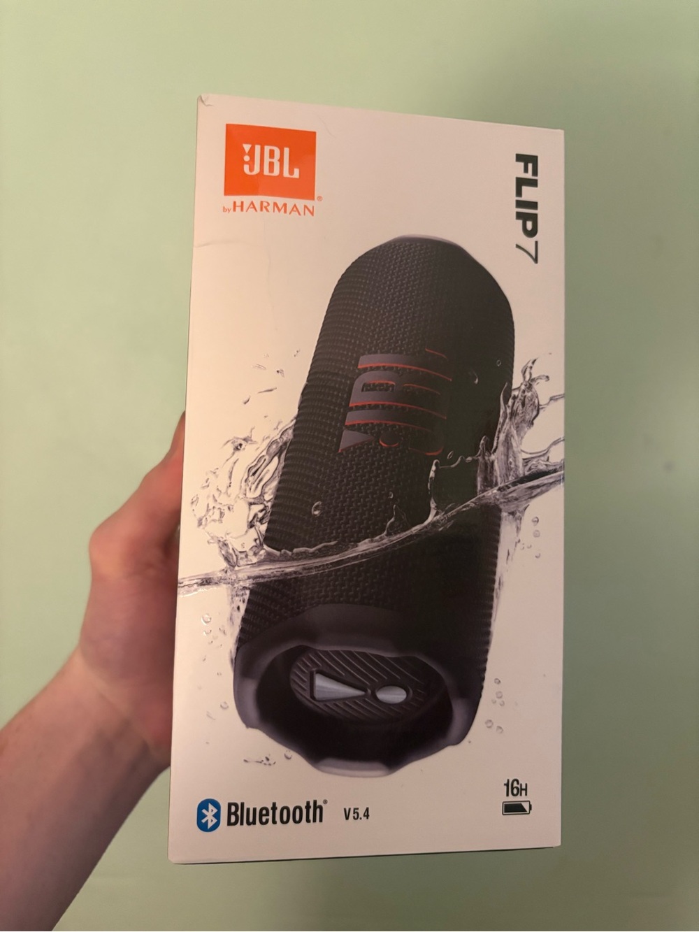 JBL Flip 7 Portable Bluetooth Speaker - Black